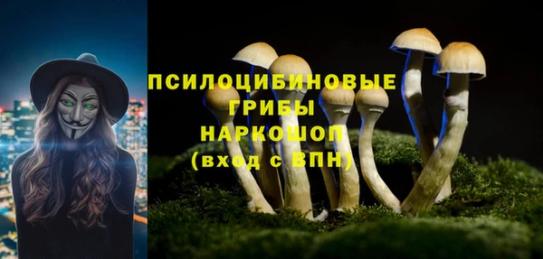 трава Аркадак