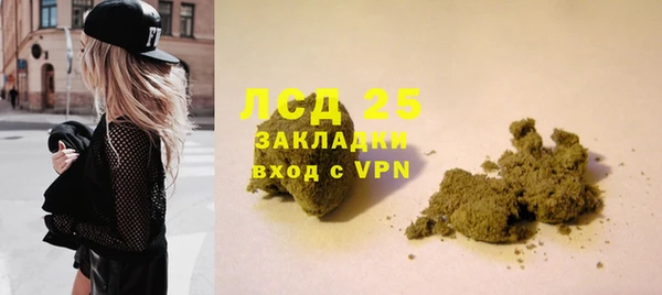 сатива Армянск