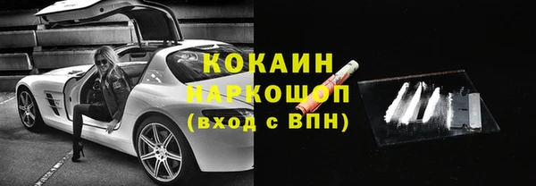 ешки Арсеньев
