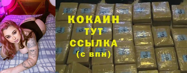 сатива Армянск