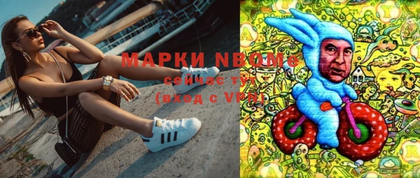 ешки Арсеньев